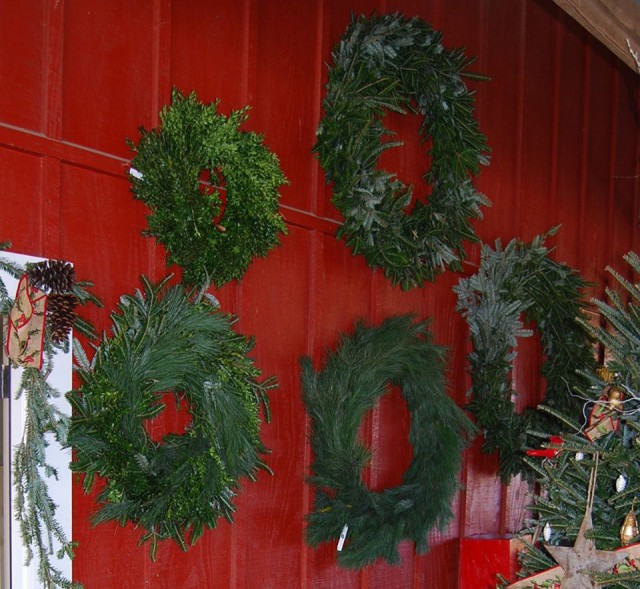 Cut Your Own Christmas Tree Farms Near Atlanta