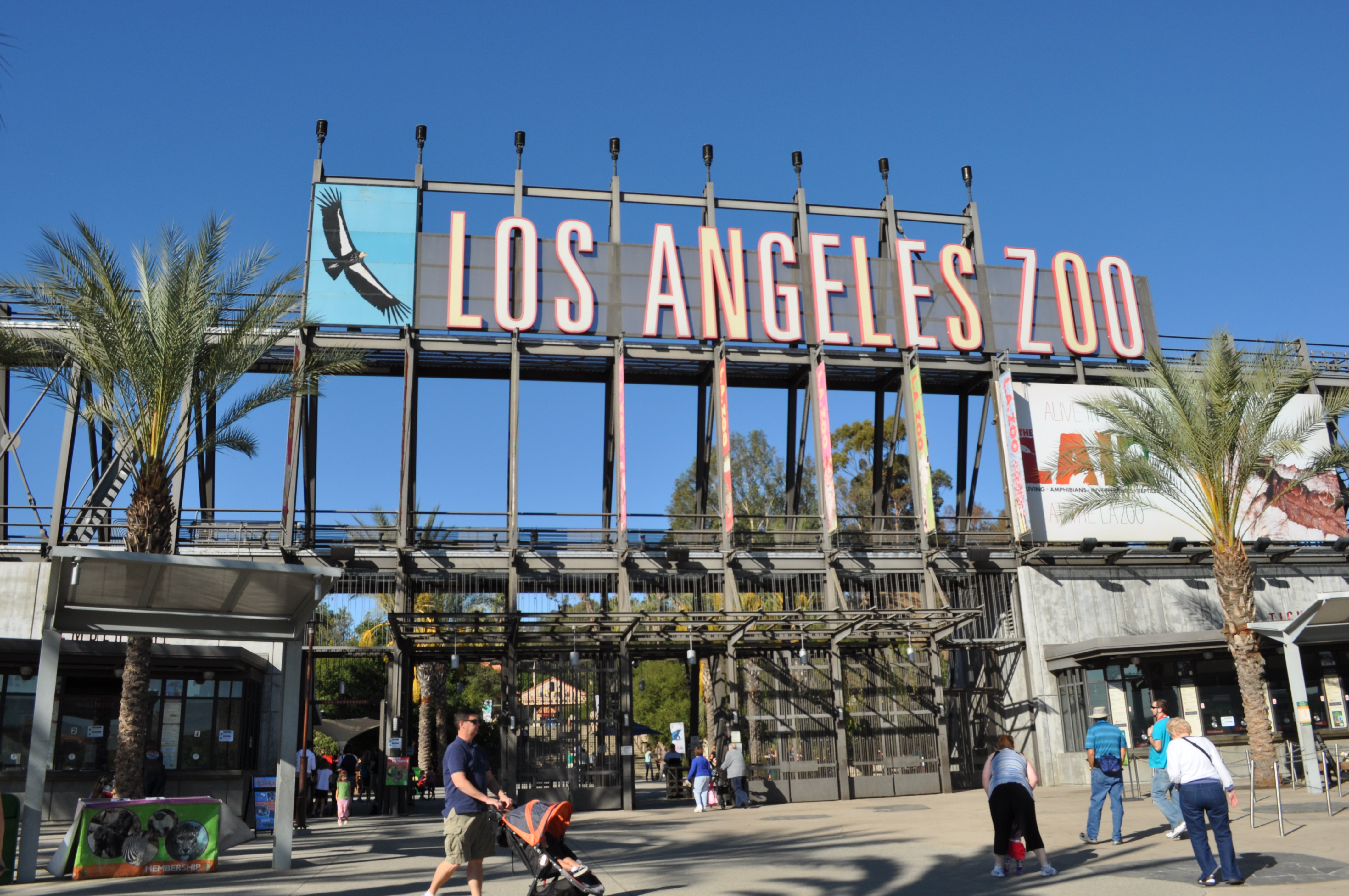 An Insider’s Guide to the Los Angeles Zoo4288 x 2848