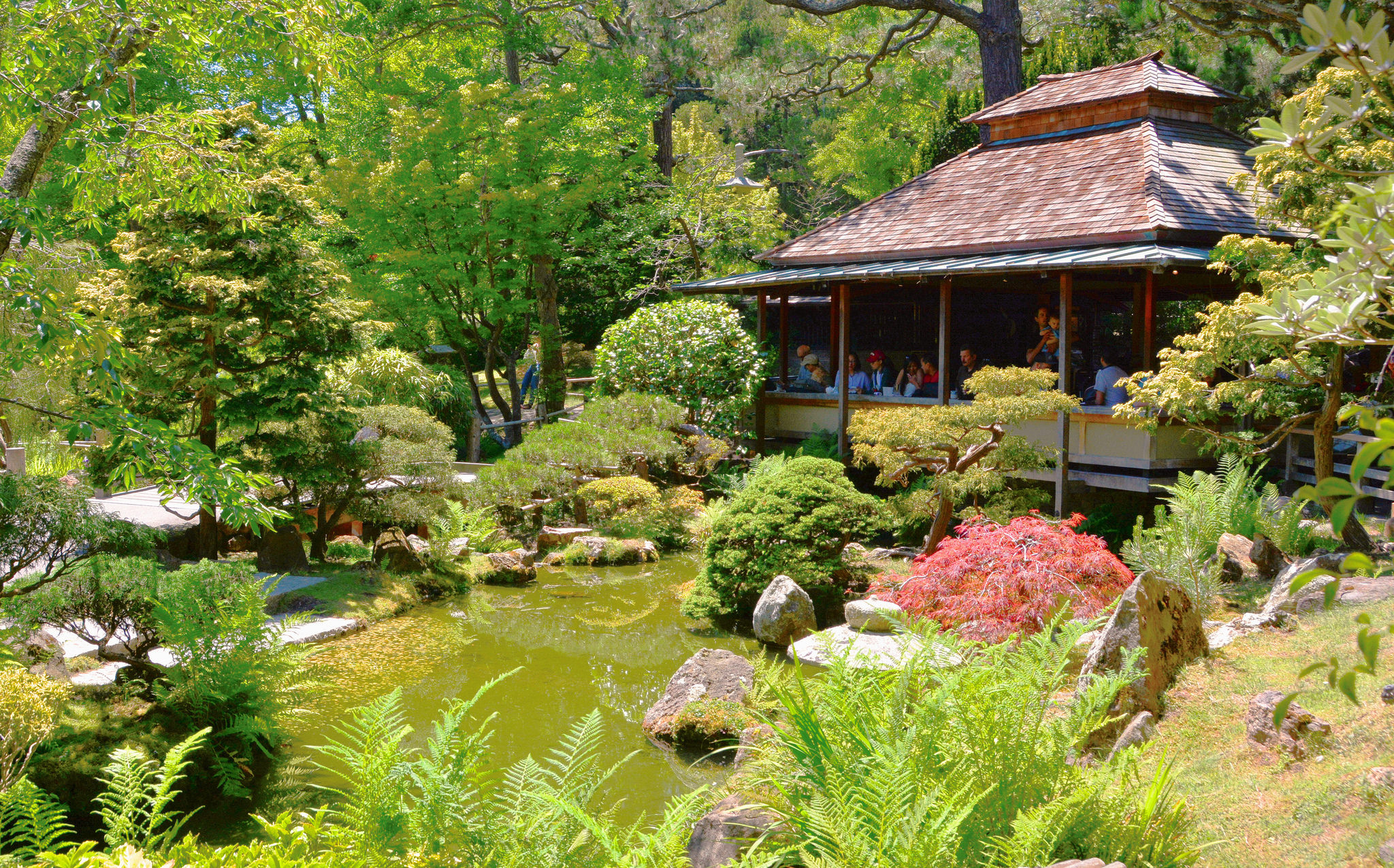 Visit The Japanese Tea Garden Family Events And Activities In
