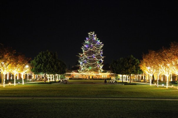 Image result for liberty station christmas tree lighting